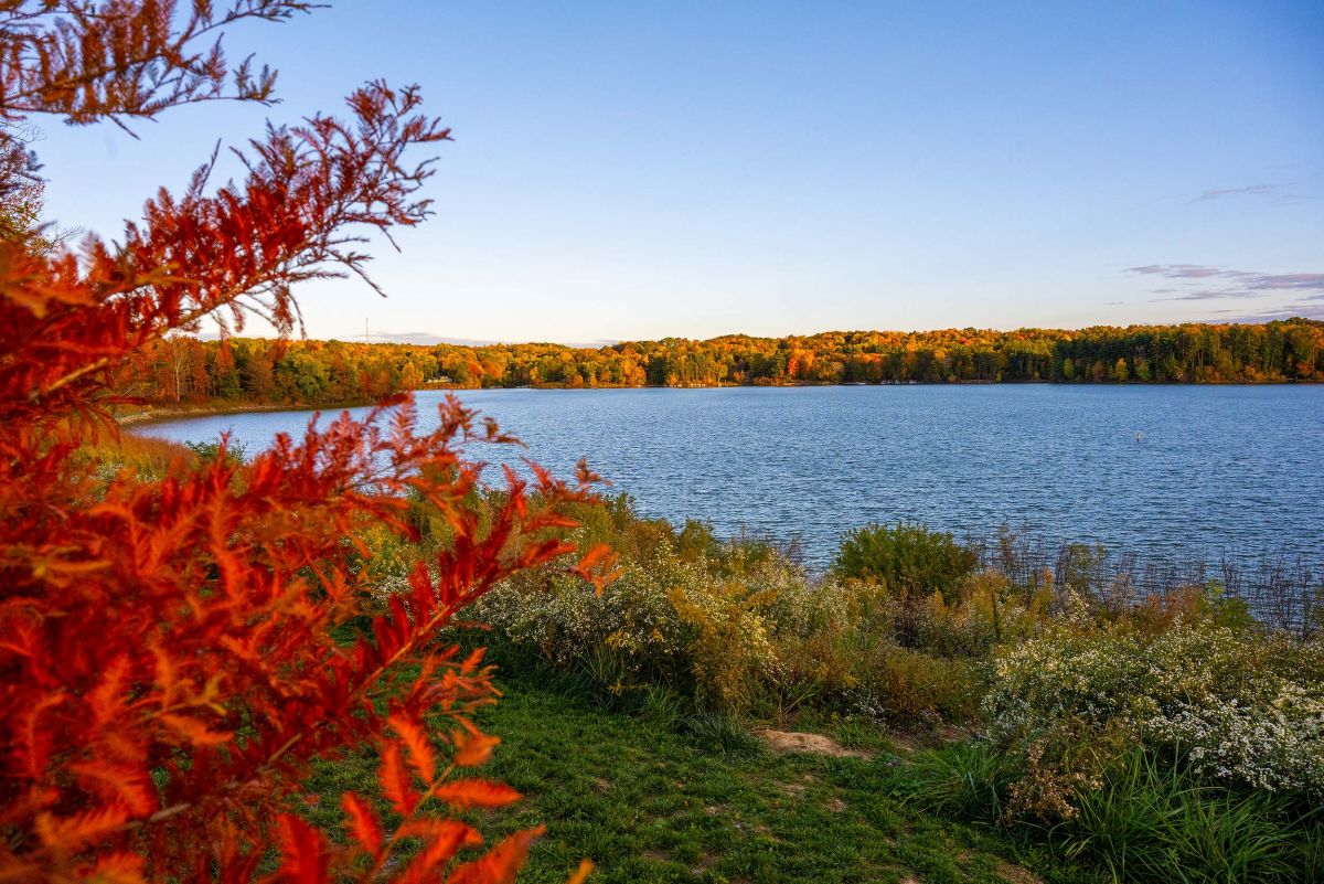 atwood-campground-fall-evening.jpg