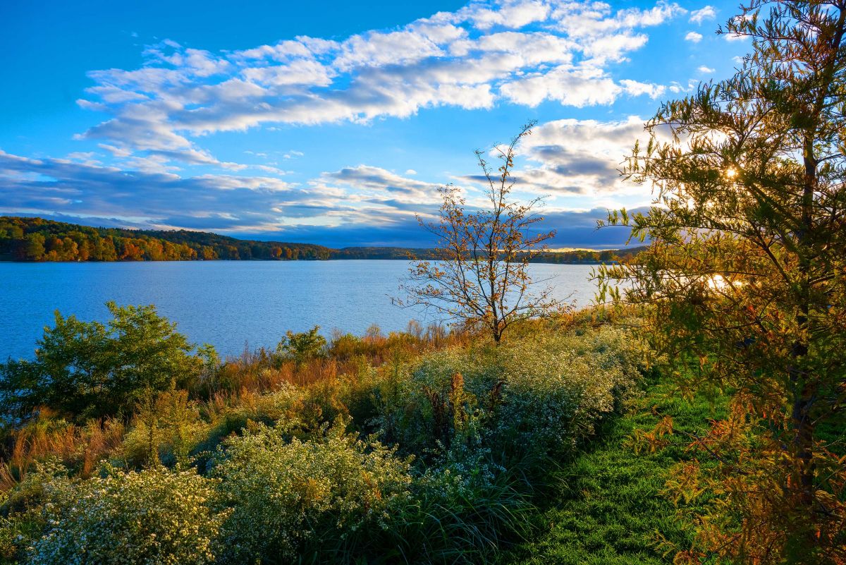 atwood-lake-shoreline-fall.jpg