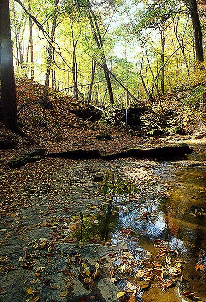 dundee-falls-in-fall.jpg