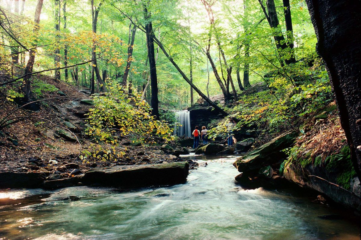 dundee-falls-late-summer.jpg