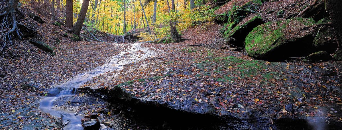 dundee-falls-panorama-fall_001.jpg