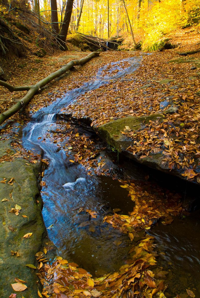 Dundee Falls