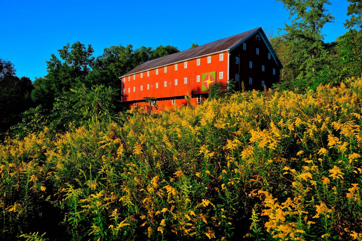 normajohnsoncenter2020-barn-4.jpg