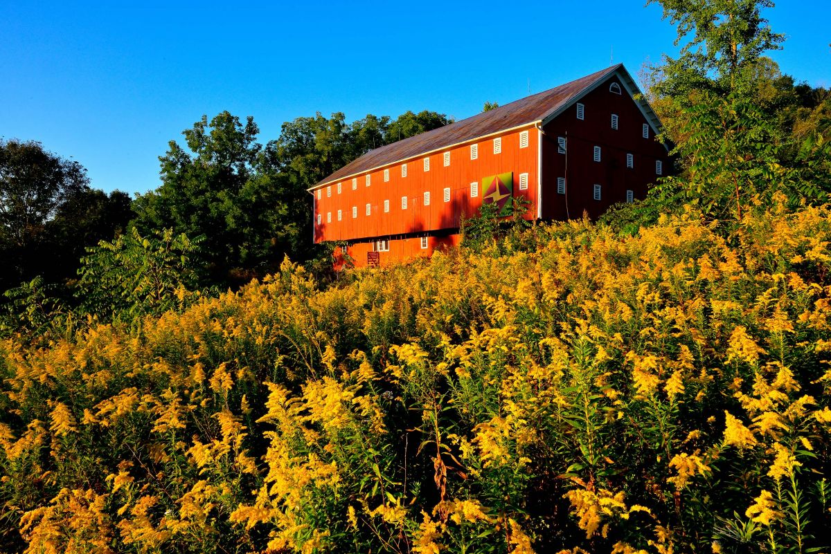 normajohnsoncenter2020-barn-5.jpg