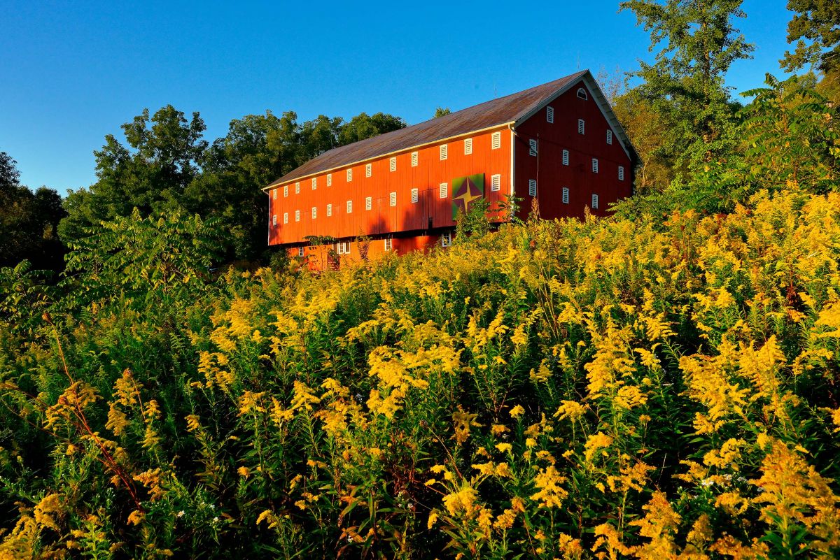 normajohnsoncenter2020-barn-6.jpg