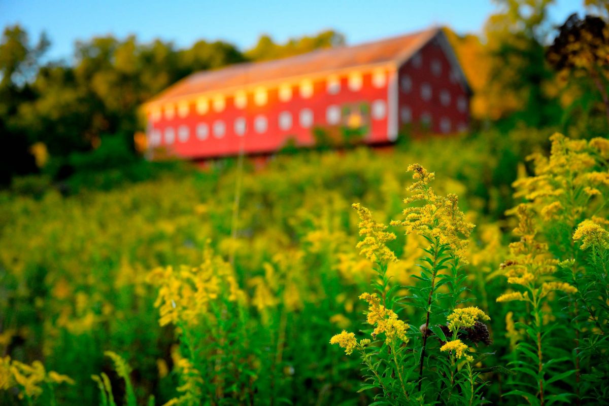 normajohnsoncenter2020-barn-8_002.jpg