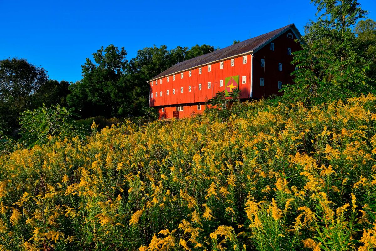 normajohnsoncenter2020-barn_002.jpg