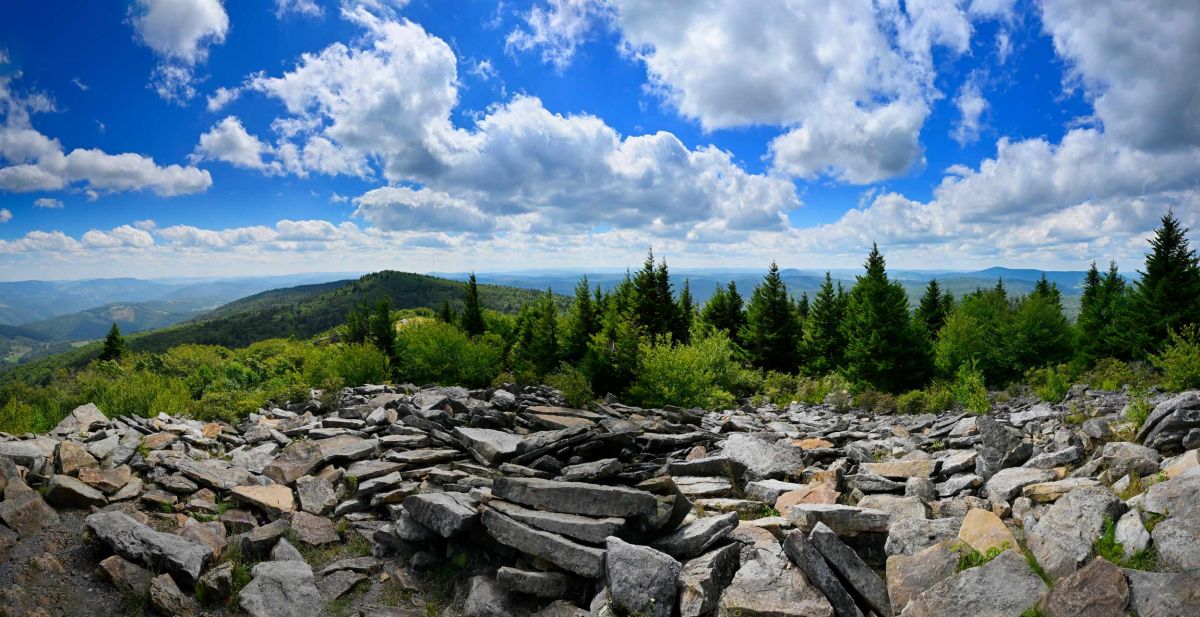 spruce-knob-panorama.jpg