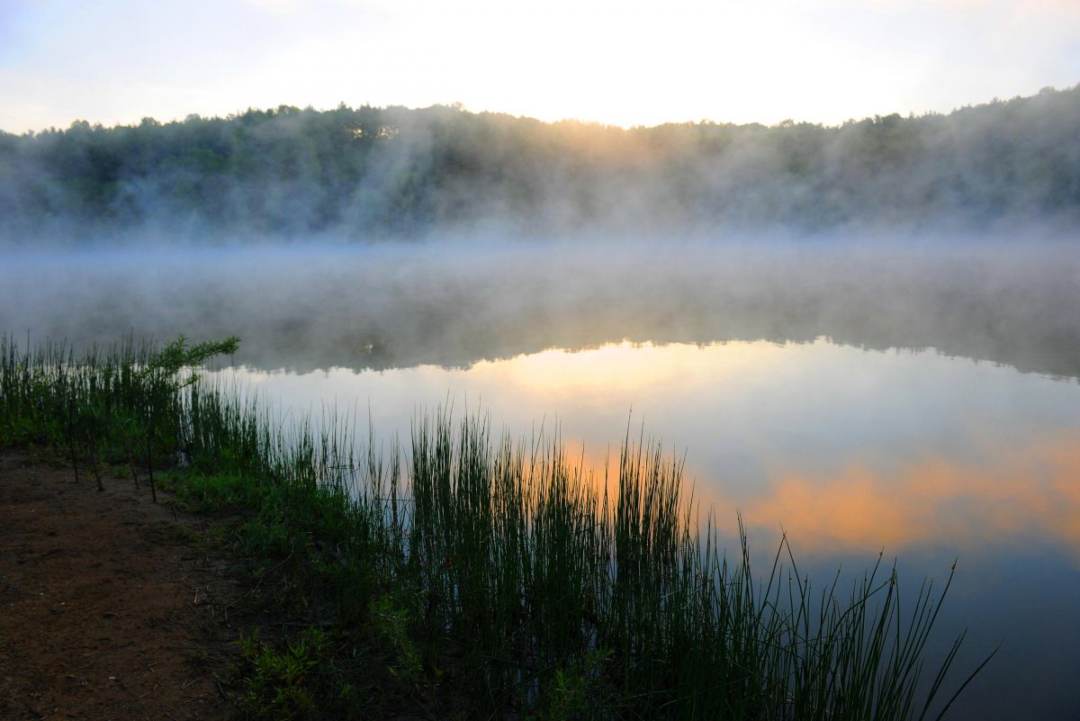 tappan-shoreline-sunrise.jpg