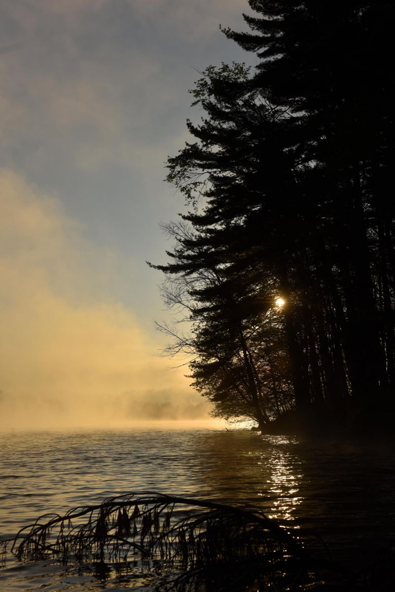 tappancabins_18-april-2017.jpg