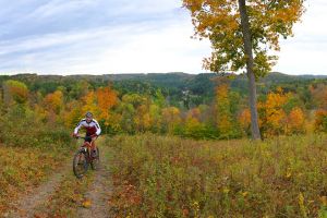 MWCD Tappan Lake Campground and Cabins Fall